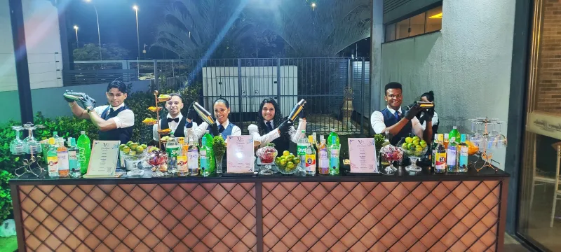 Barmen, GARÇOM e copeiro
